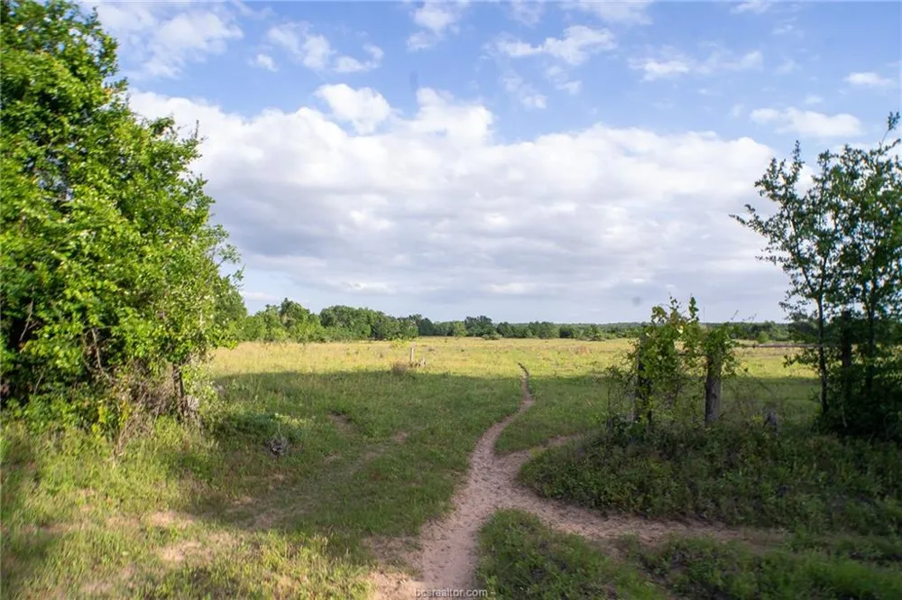 9525 S Hickory Loop County Road Calvert, TX 77837