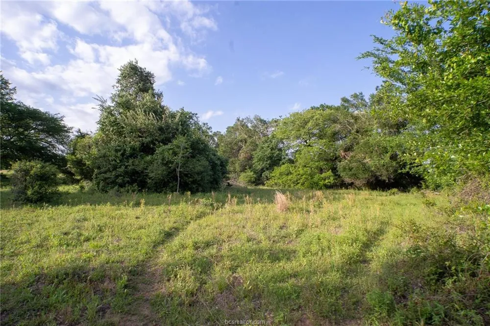 9525 S Hickory Loop County Road Calvert, TX 77837