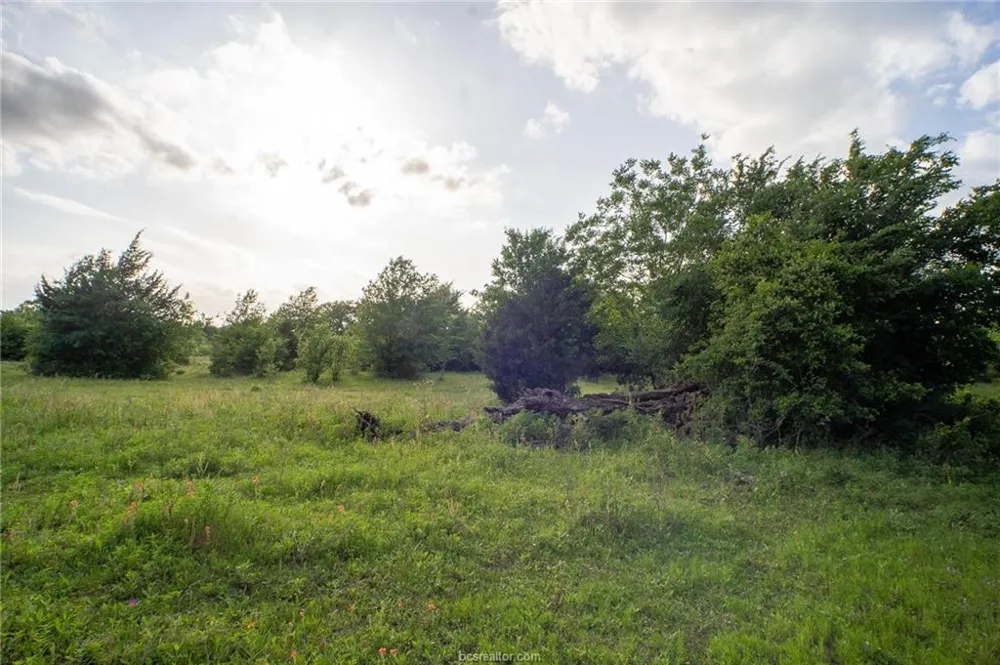 9525 S Hickory Loop County Road Calvert, TX 77837