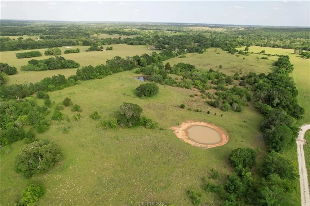 9525 S Hickory Loop County Road Calvert, TX 77837