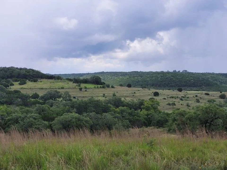 1395 Mountain Creek Road Marble Falls, TX 78654