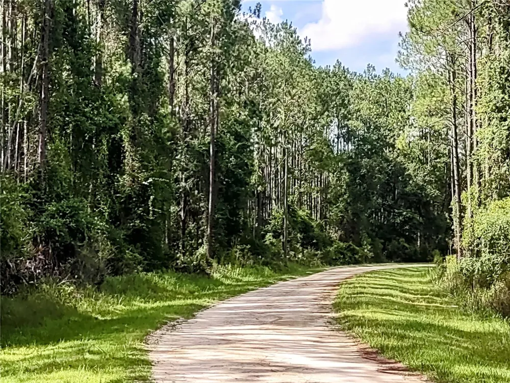 4651 NE 108TH PLACE Chiefland, FL 32626