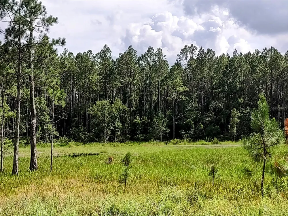 4651 NE 108TH PLACE Chiefland, FL 32626