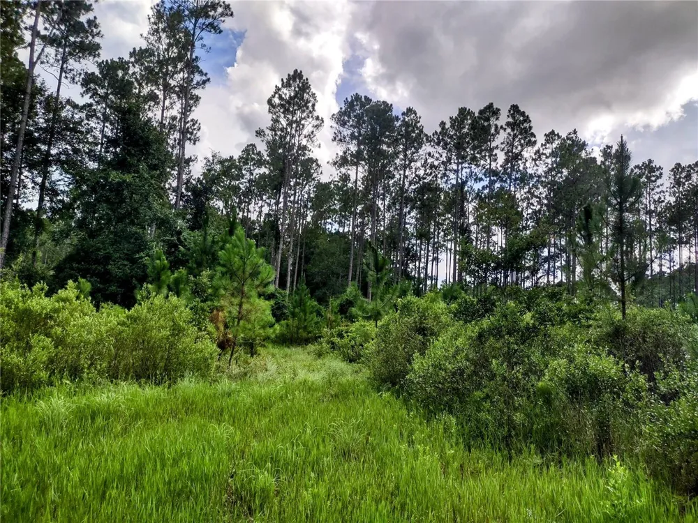 4651 NE 108TH PLACE Chiefland, FL 32626