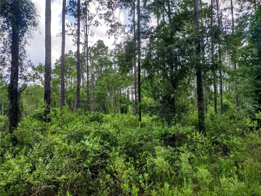 4651 NE 108TH PLACE Chiefland, FL 32626