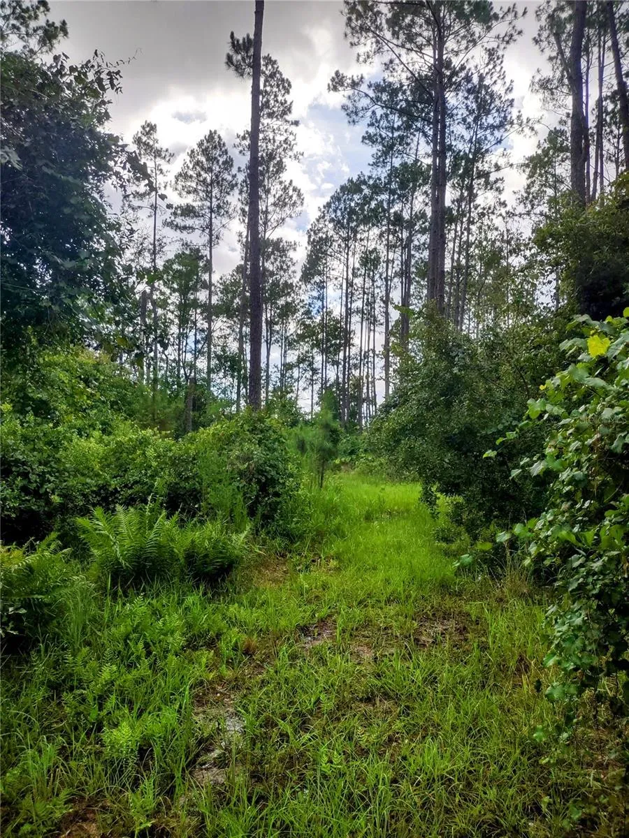 4651 NE 108TH PLACE Chiefland, FL 32626