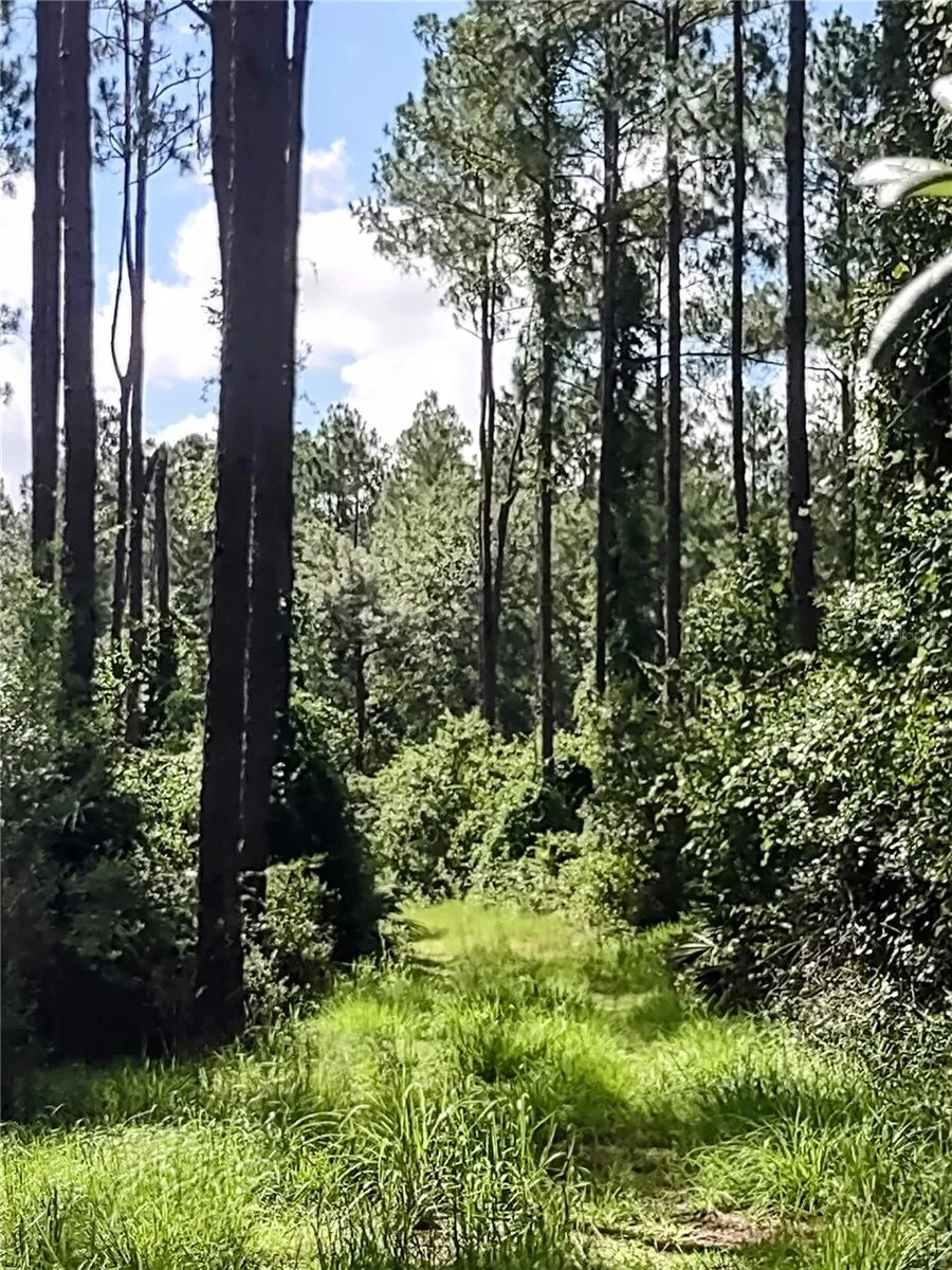 4651 NE 108TH PLACE Chiefland, FL 32626