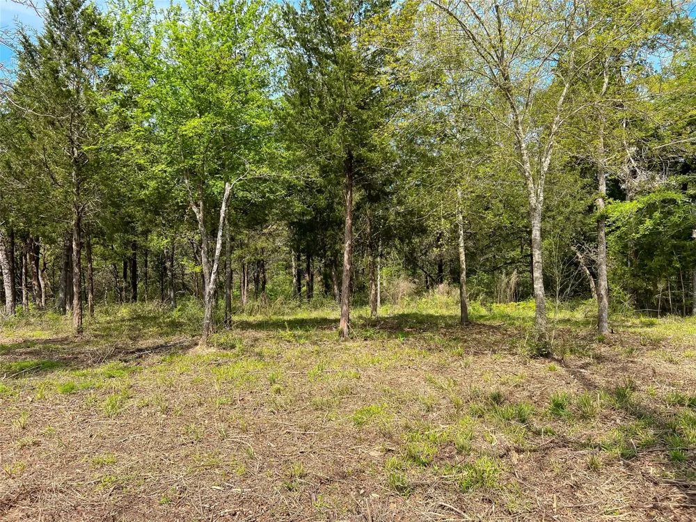 Cr 389 Jewett, TX 75846