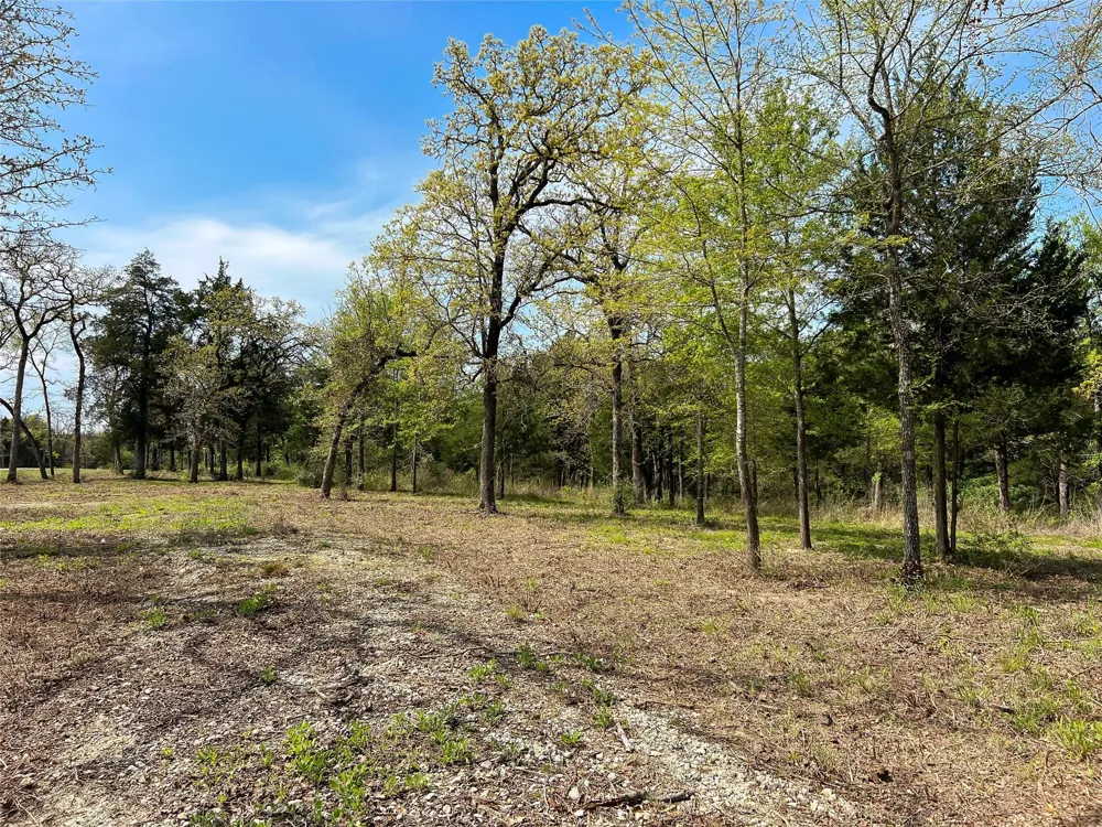 Cr 389 Jewett, TX 75846
