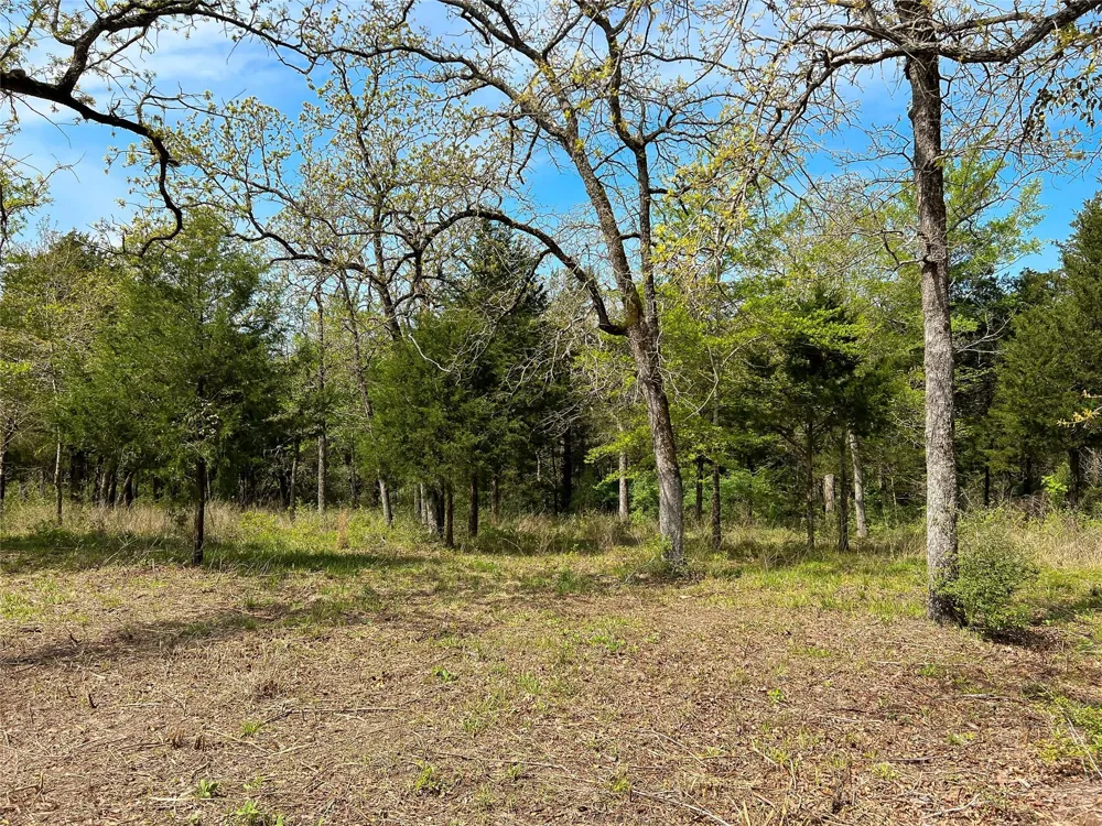 Cr 389 Jewett, TX 75846
