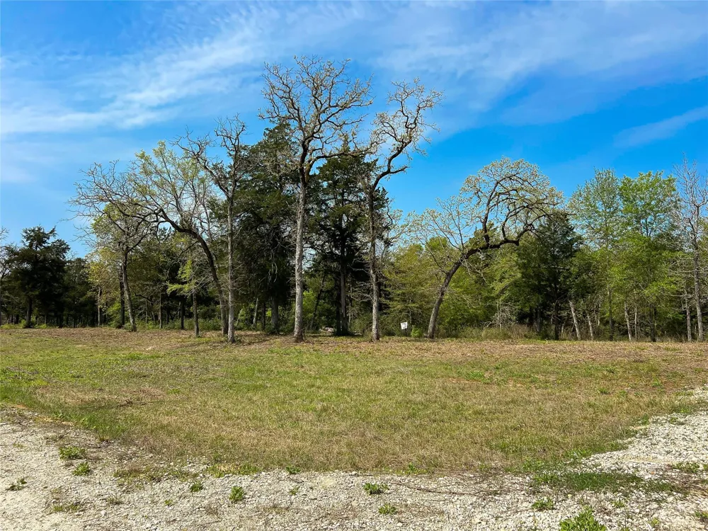 Cr 389 Jewett, TX 75846