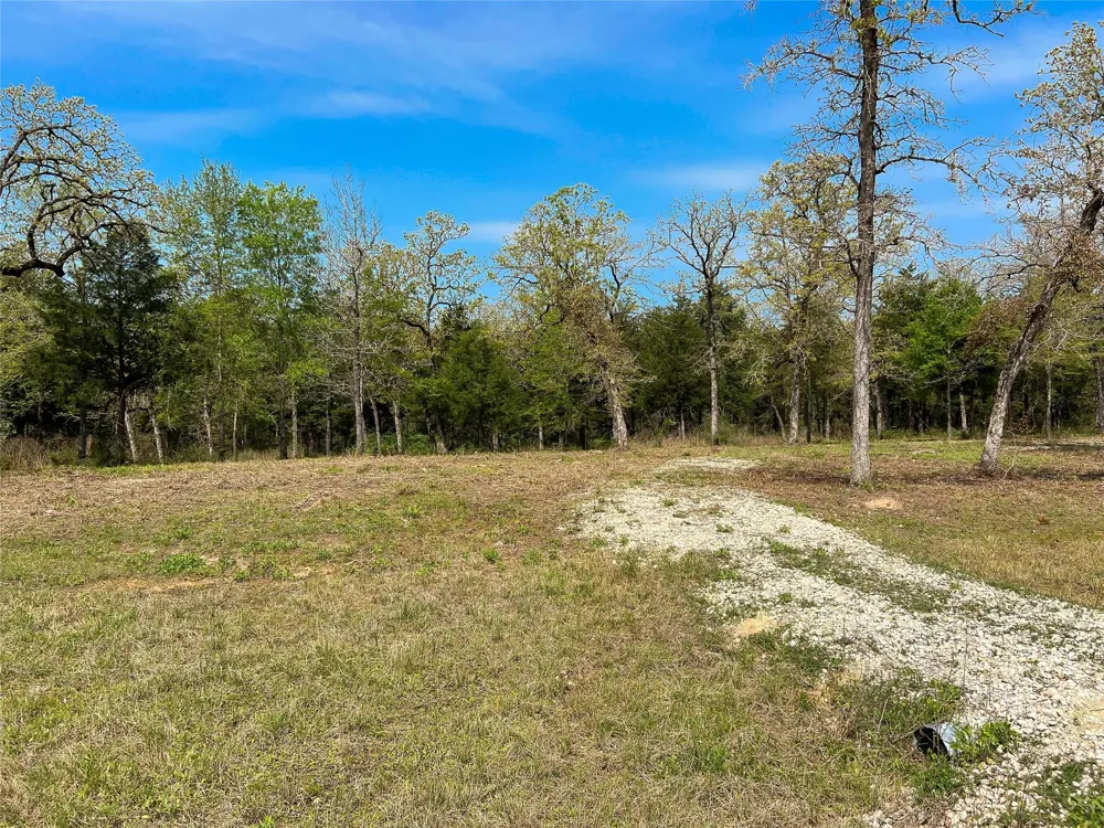 Cr 389 Jewett, TX 75846
