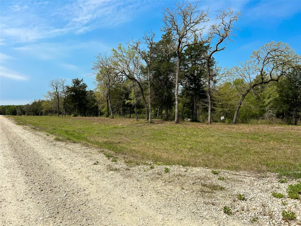 Cr 389 Jewett, TX 75846