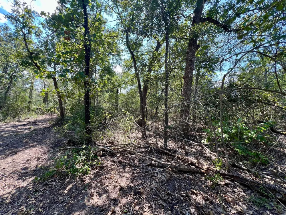 531 Moss Oak Drive Somerville, TX 77879