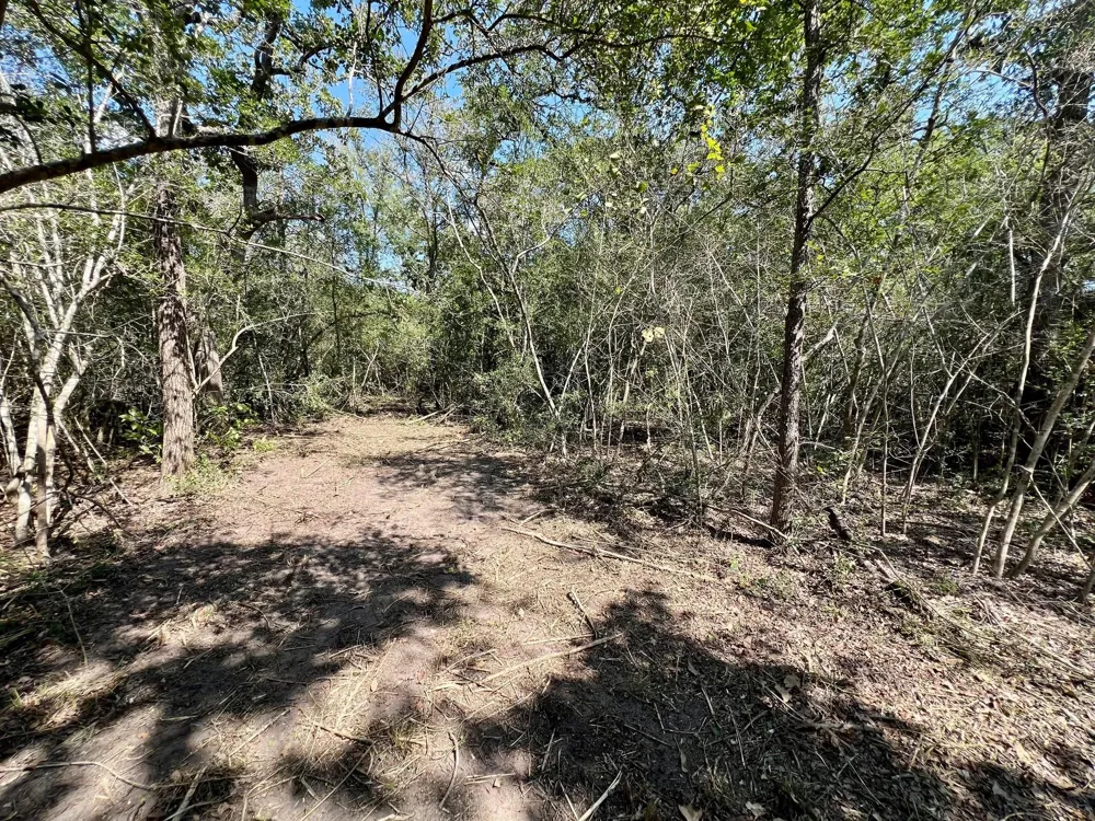 531 Moss Oak Drive Somerville, TX 77879