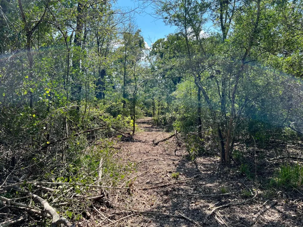 531 Moss Oak Drive Somerville, TX 77879