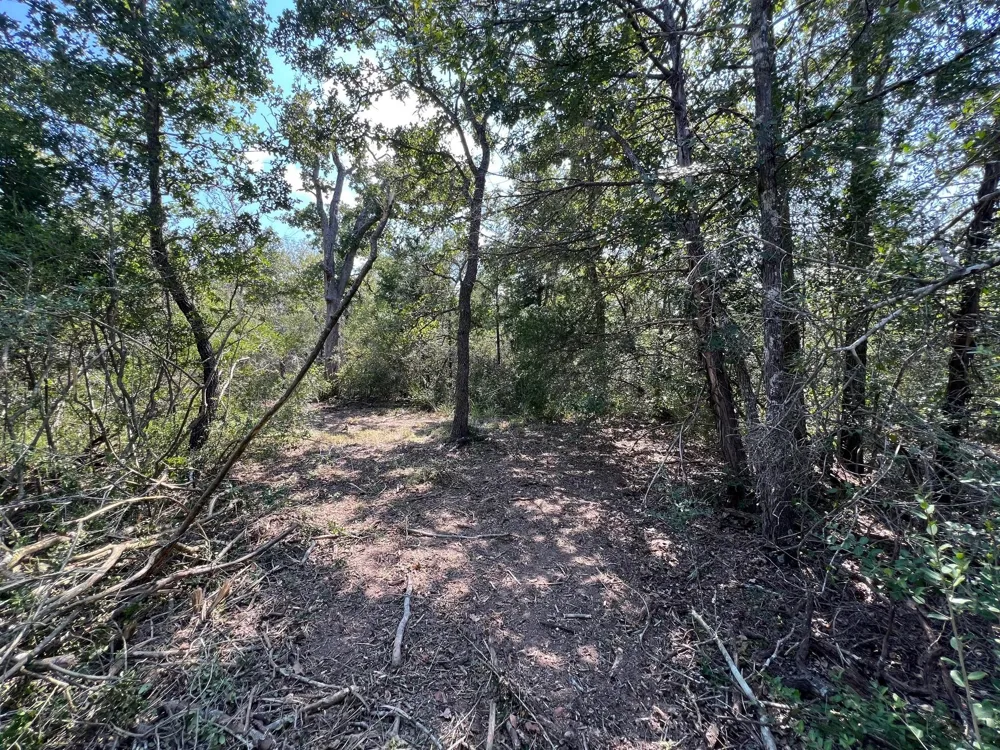 531 Moss Oak Drive Somerville, TX 77879