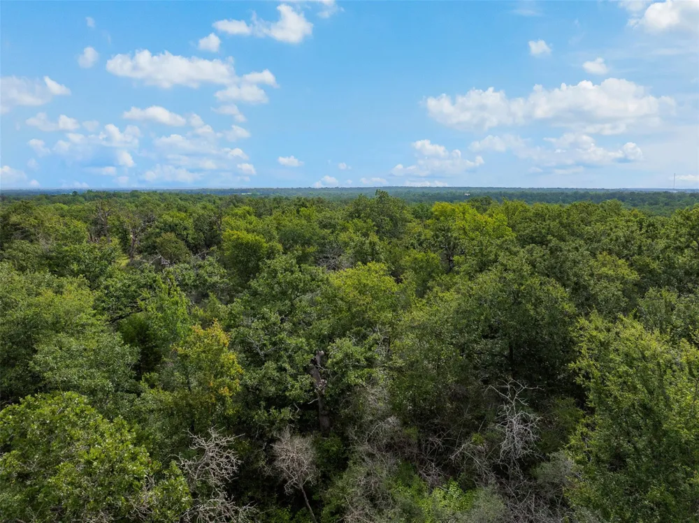 531 Moss Oak Drive Somerville, TX 77879
