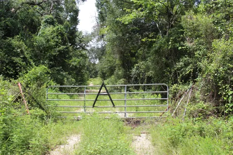1306 County Road 3455a