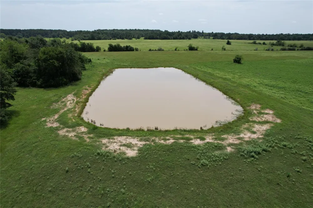 1306 County Road 3455a Lovelady, TX 75851