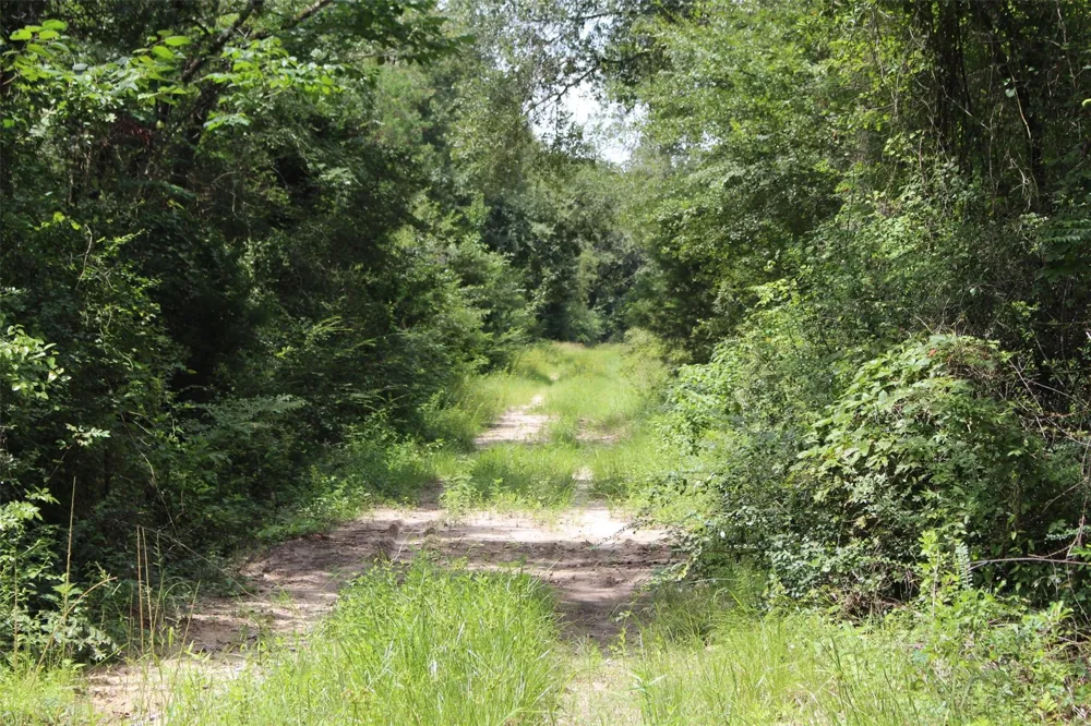 1306 County Road 3455a Lovelady, TX 75851