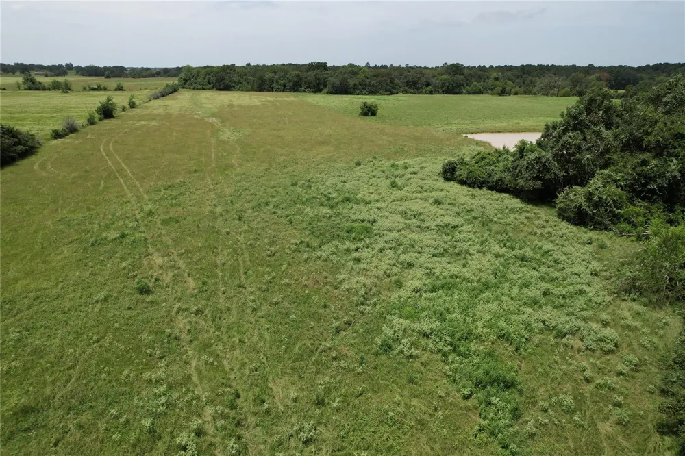 1306 County Road 3455a Lovelady, TX 75851