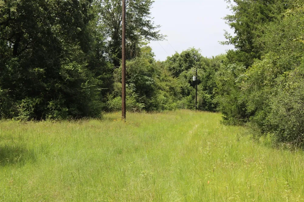 1306 County Road 3455a Lovelady, TX 75851