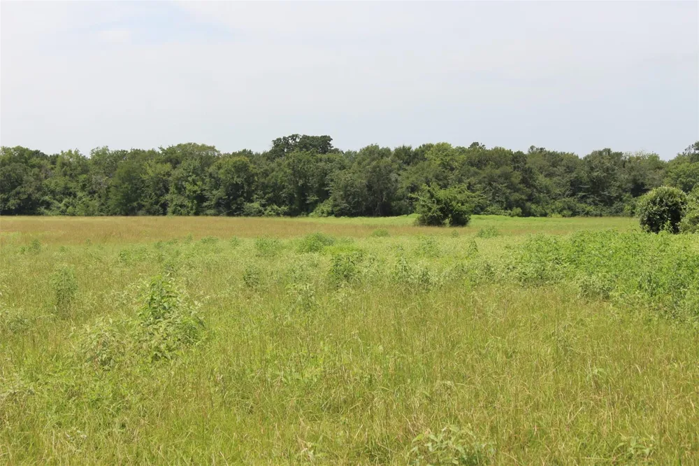 1306 County Road 3455a Lovelady, TX 75851