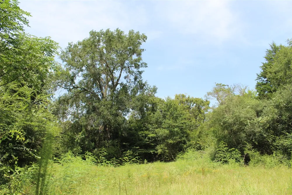 1306 County Road 3455a Lovelady, TX 75851