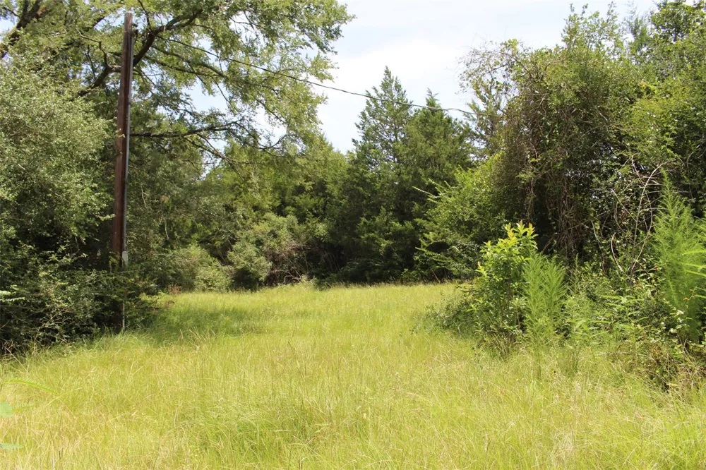 1306 County Road 3455a Lovelady, TX 75851