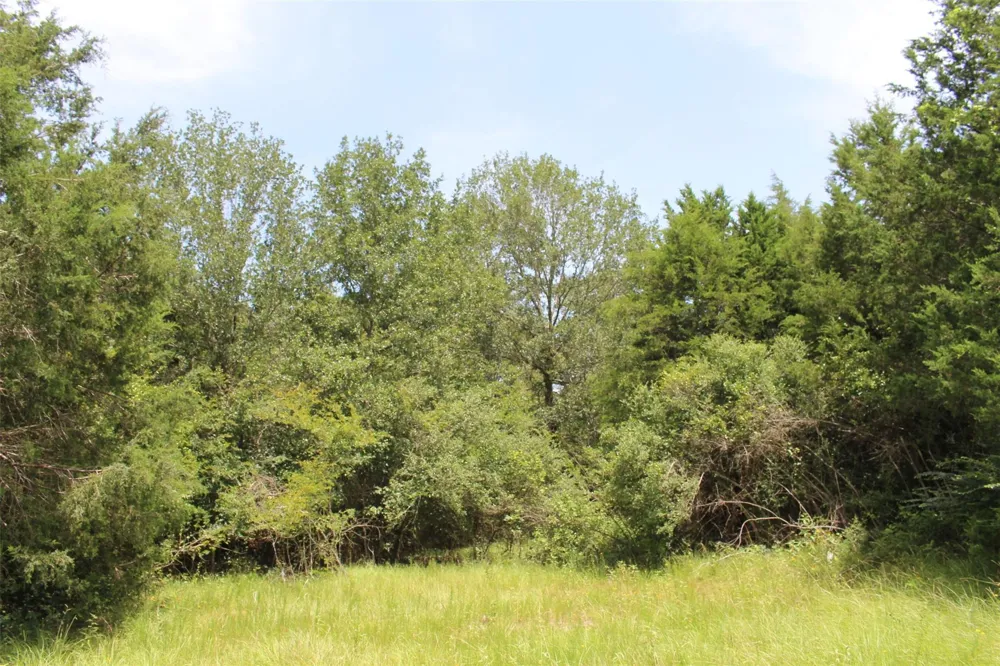 1306 County Road 3455a Lovelady, TX 75851