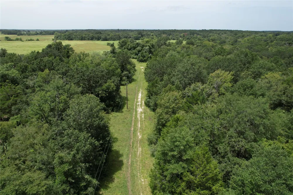 1306 County Road 3455a Lovelady, TX 75851