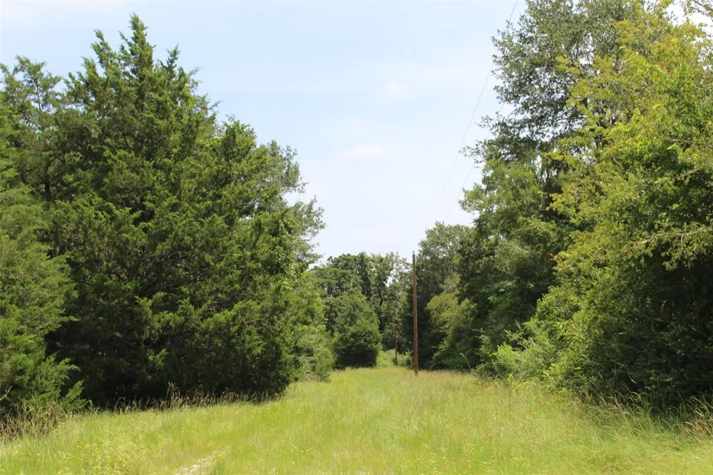 1306 County Road 3455a Lovelady, TX 75851