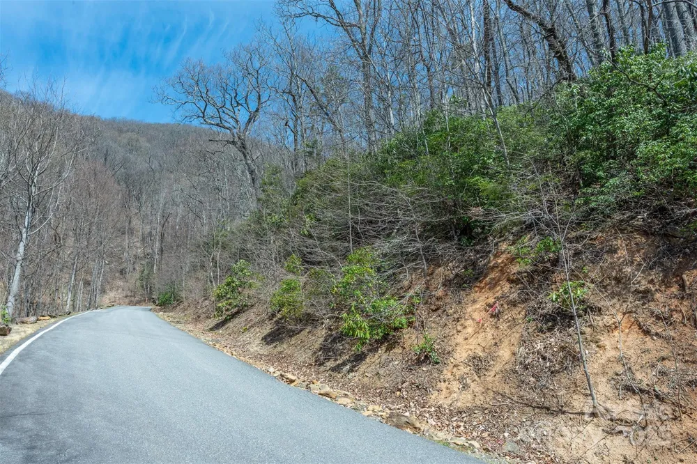 23 Winding Poplar Road #912 Black Mountain, NC 28711