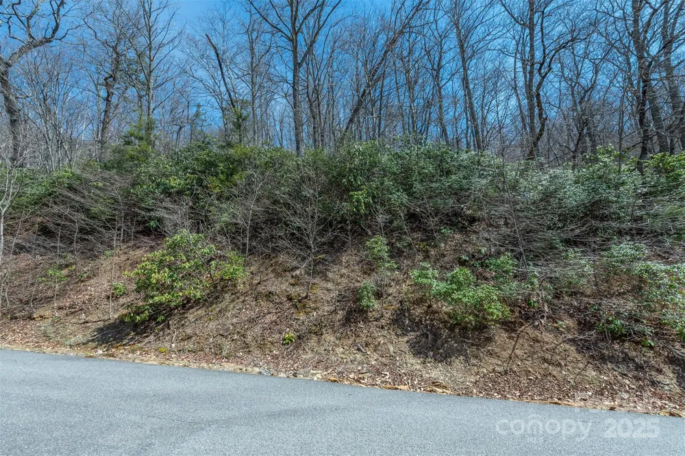 23 Winding Poplar Road #912 Black Mountain, NC 28711
