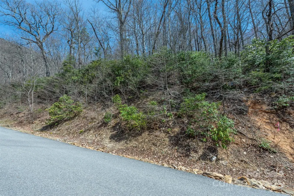 23 Winding Poplar Road #912 Black Mountain, NC 28711