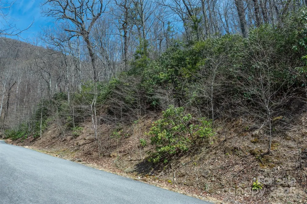 23 Winding Poplar Road #912 Black Mountain, NC 28711