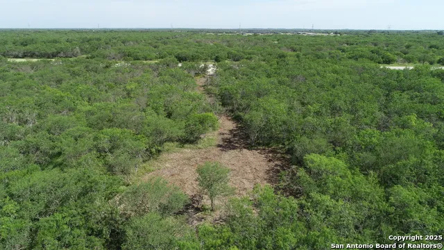 TBD T1 Hwy 239 Goliad, TX 77963