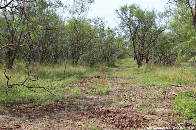 TBD T1 Hwy 239 Goliad, TX 77963