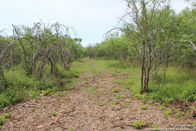 TBD T1 Hwy 239 Goliad, TX 77963