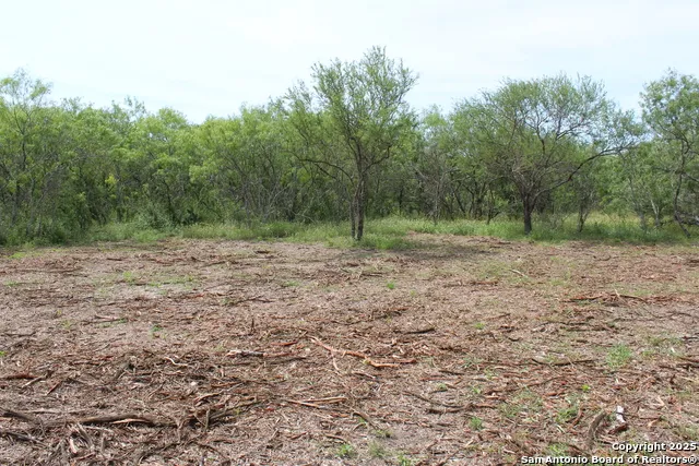 TBD T1 Hwy 239 Goliad, TX 77963