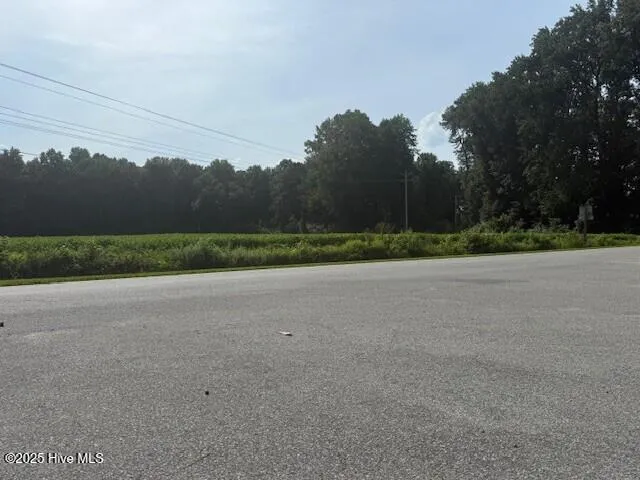 Tbd Wise Store Rd.  Lot 4 Murfreesboro, NC 27855