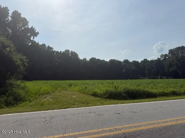 Tbd Wise Store Rd. Lot 2 Murfreesboro, NC 27855