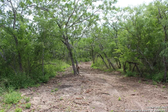 TBD T10 Pierce Rd Goliad, TX 77963