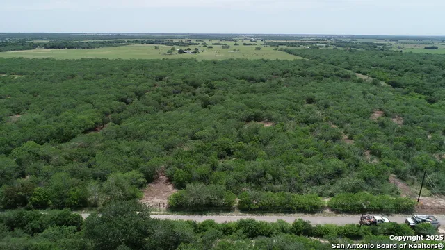 TBD T10 Pierce Rd Goliad, TX 77963