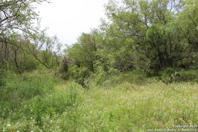 TBD T10 Pierce Rd Goliad, TX 77963