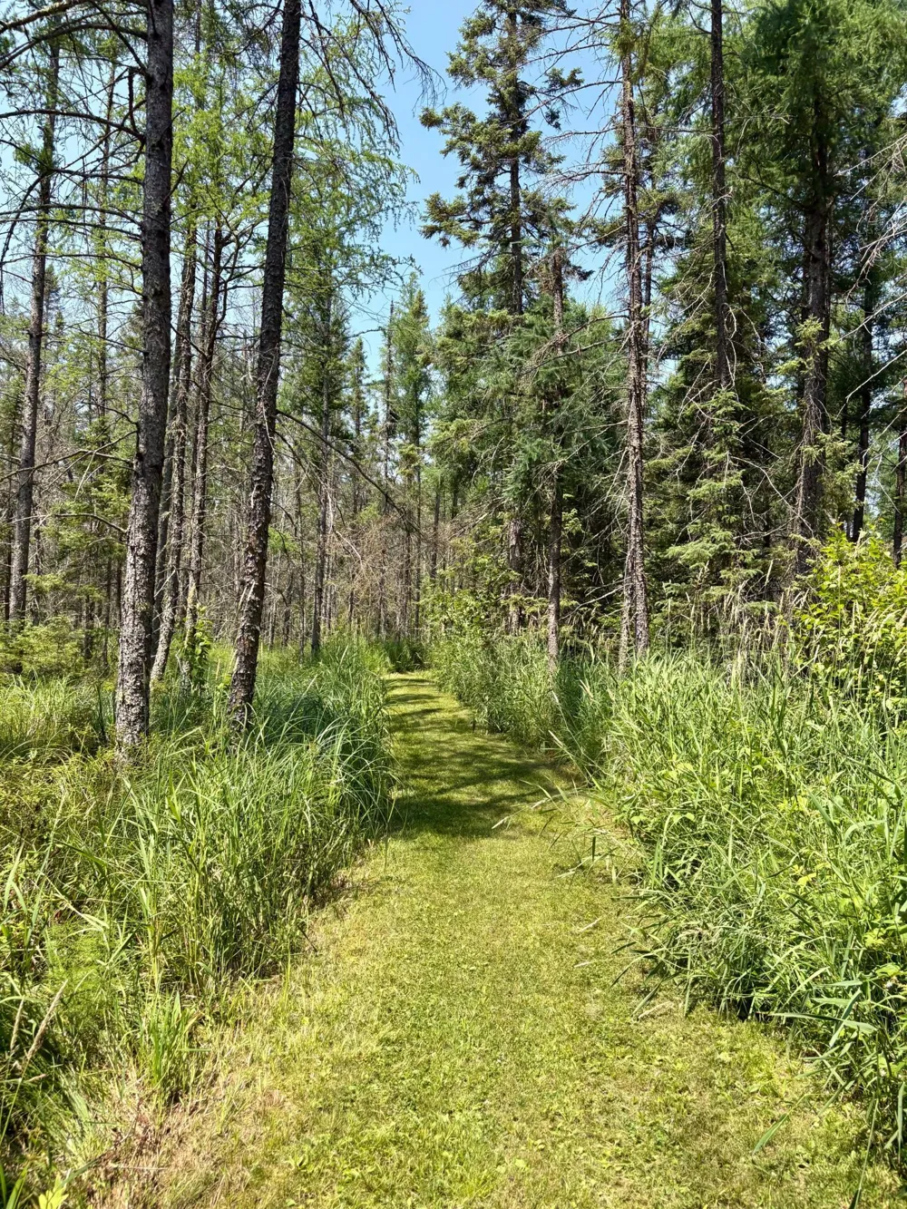 2594 County Road 8 Barnum, MN 55707