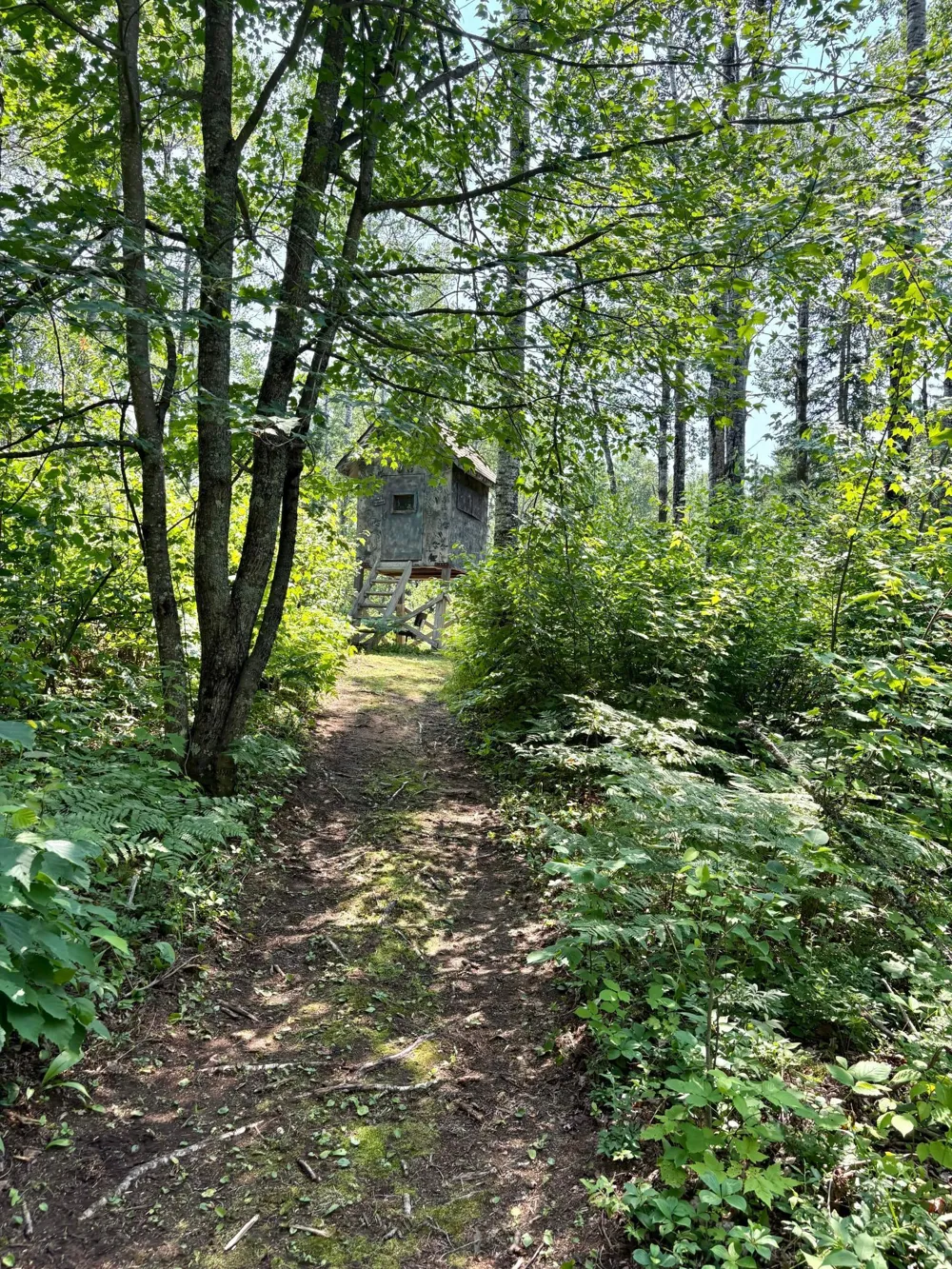 2594 County Road 8 Barnum, MN 55707