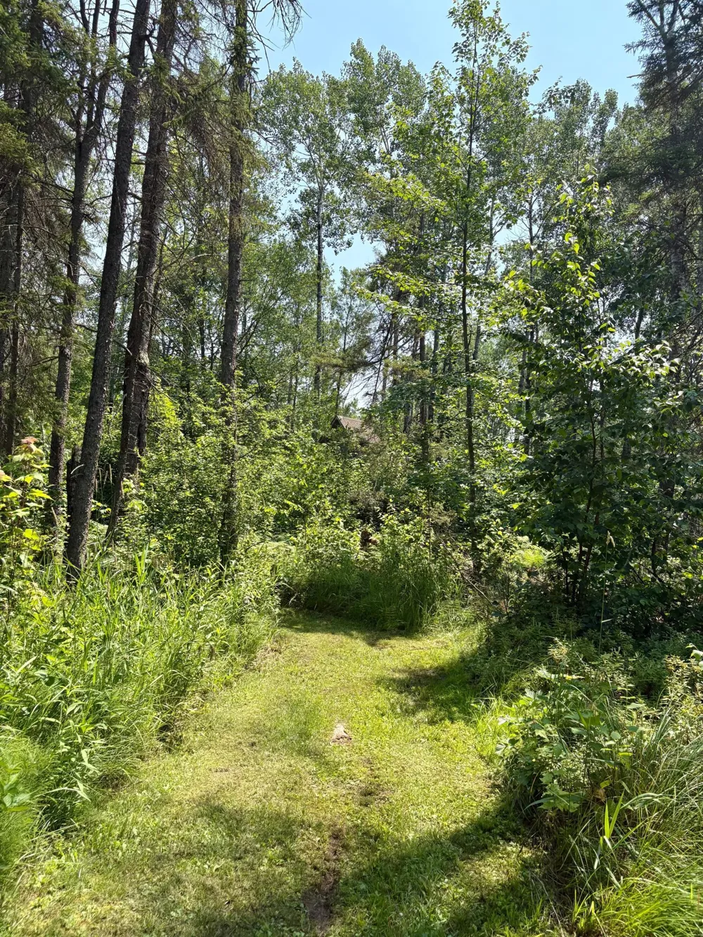 2594 County Road 8 Barnum, MN 55707