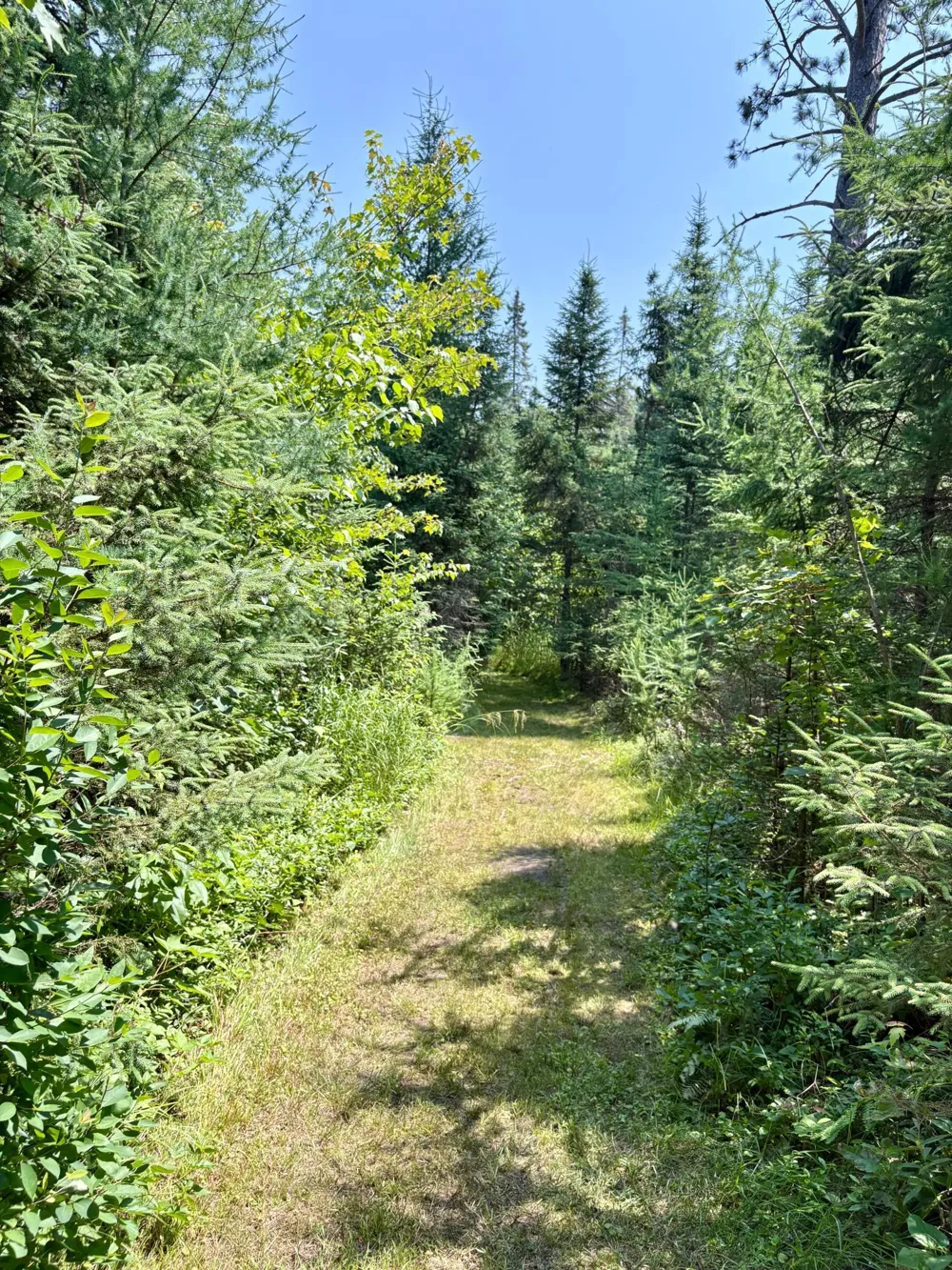 2594 County Road 8 Barnum, MN 55707